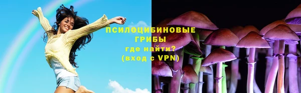 синтетический гашиш Ельня