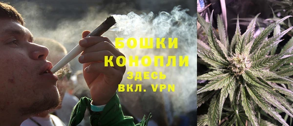прущие крисы Елизово